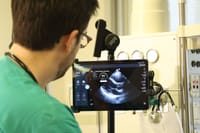 AISAP raised $13M to accelerate its AI-powered ultrasound solution post image